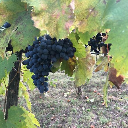 Agriturismo Beata Vanna Фабро Екстериор снимка