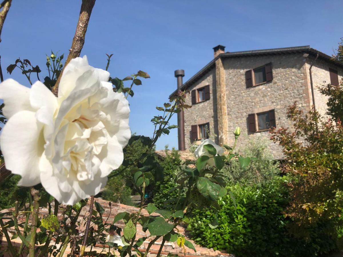 Agriturismo Beata Vanna Фабро Екстериор снимка