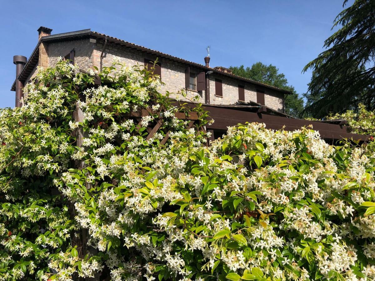 Agriturismo Beata Vanna Фабро Екстериор снимка