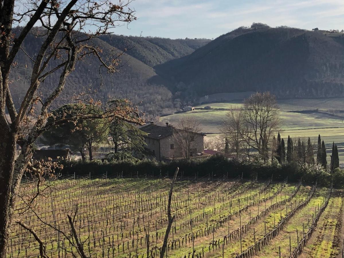 Agriturismo Beata Vanna Фабро Екстериор снимка